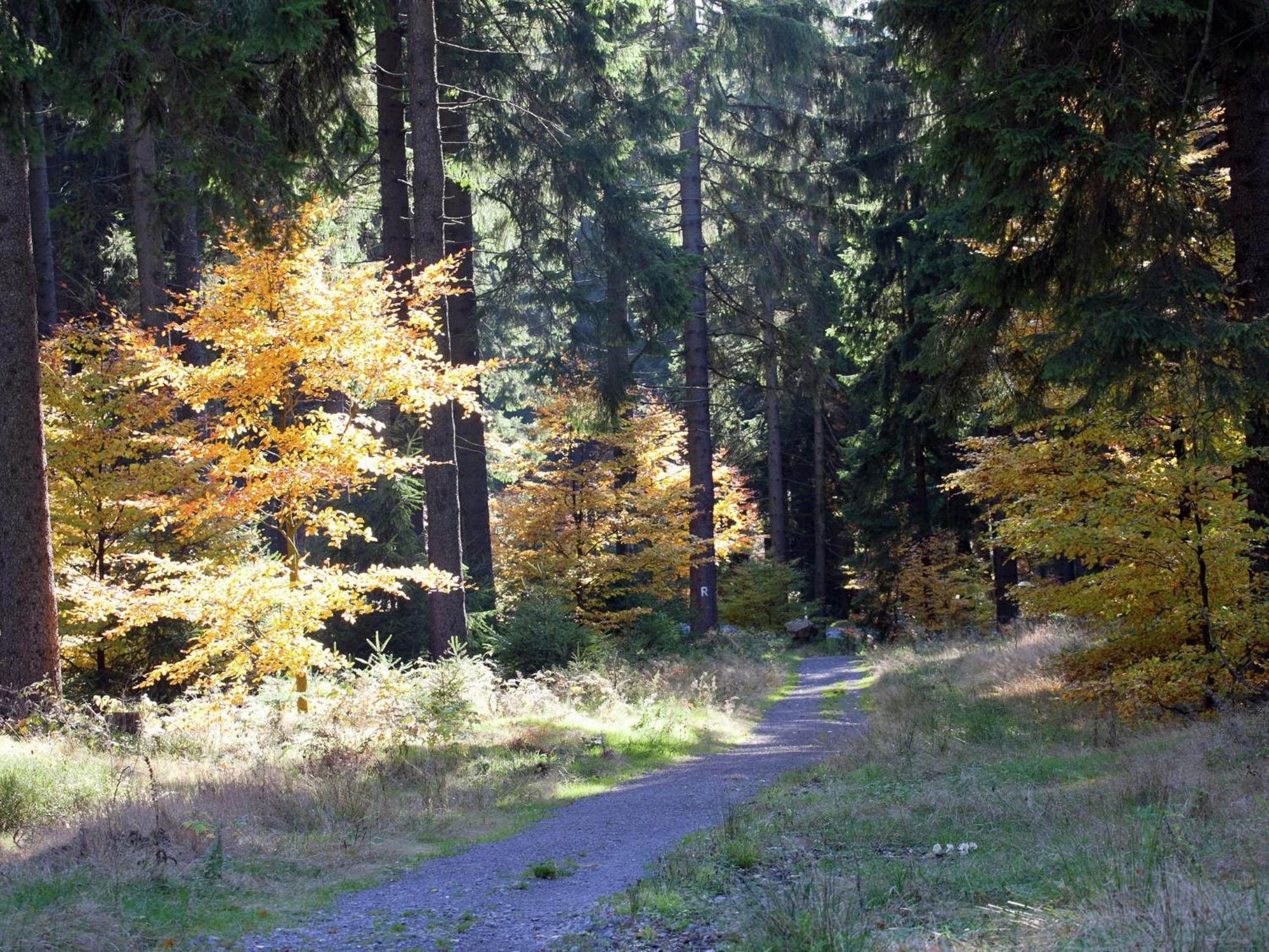 Apartment In Heubach In The Forest Gießübel Dış mekan fotoğraf